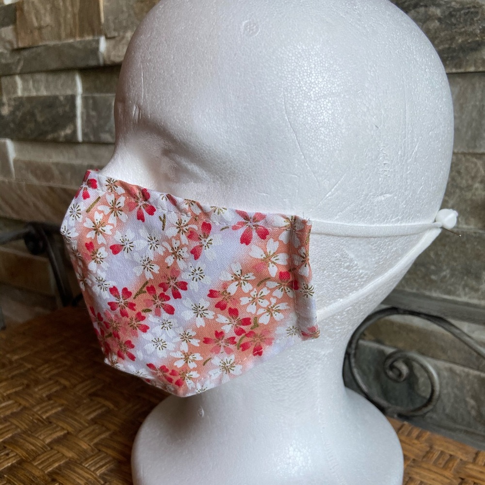 Mask with 1 pm 2.5 filter